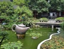 188  Hangzhou Teeplantage 188  Hangzhou Teeplantage
