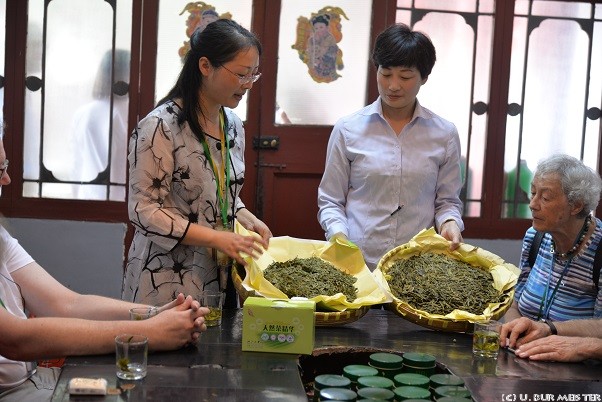 189  Hangzhou Teeplantage