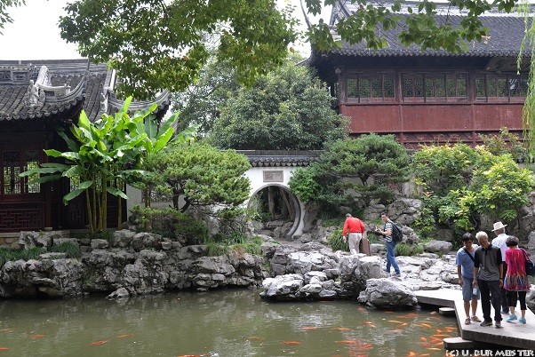 229  Shanghai  Altstadt  YU Garten