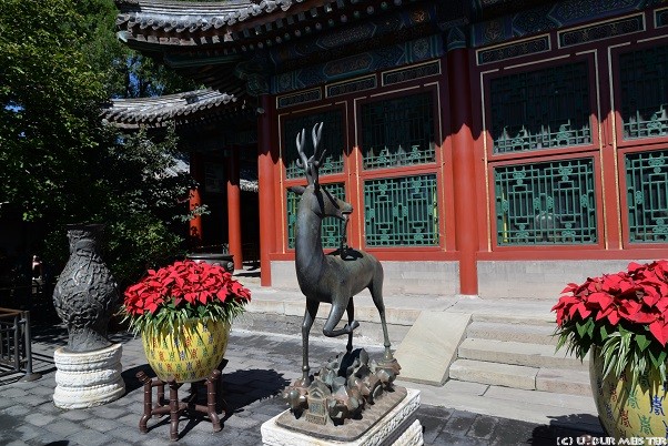 78 Peking Sommerpalast
