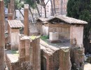 area sacra del largo torre argentina 1  1280x853  area sacra del largo torre argentina 1  1280x853