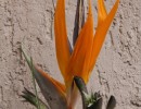 img 0114 img 0114