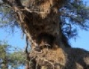 img 0258  1280x853  img 0258  1280x853