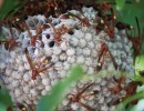 img 0681  1280x853  img 0681  1280x853
