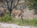 img 1257  1280x853  img 1257  1280x853