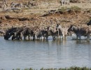 img 1290  1280x853  img 1290  1280x853