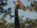 img 1476  1280x853  img 1476  1280x853