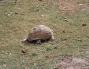 img 1827  1280x853  img 1827  1280x853