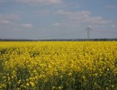 img 2102  1280x853  img 2102  1280x853