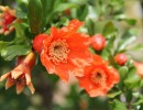 img 2587 img 2587