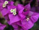 img 2648 img 2648