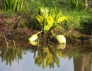 img 3884 img 3884