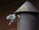 img 5628  1280x853  img 5628  1280x853