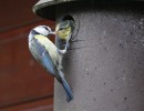 img 5651 img 5651
