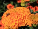 img 6414 img 6414