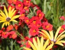 img 6418 img 6418