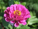 img 6435 img 6435