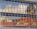 kulturpalast spiegelung 2  1280x853  kulturpalast spiegelung 2  1280x853