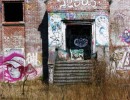 ruine alsen 4  853x1280  ruine alsen 4  853x1280