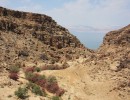 wadi mujip wadi mujip