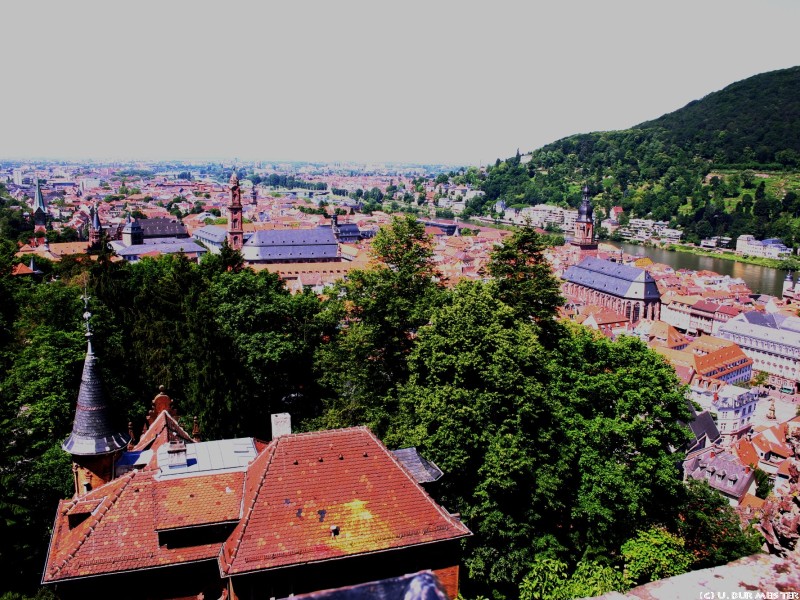 Blick   ber Heidelberg