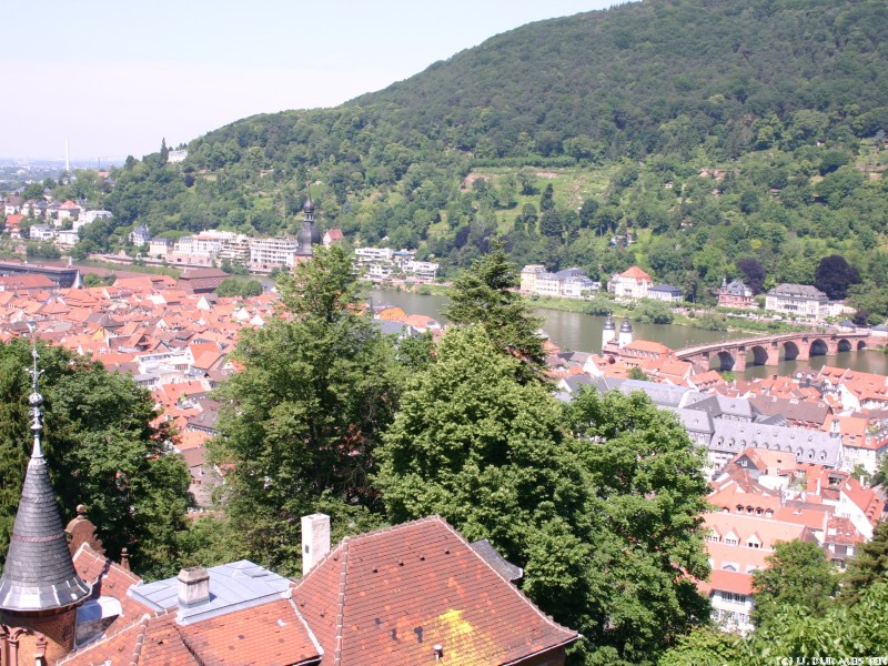 Heidelberg Blick   ber die Stadt