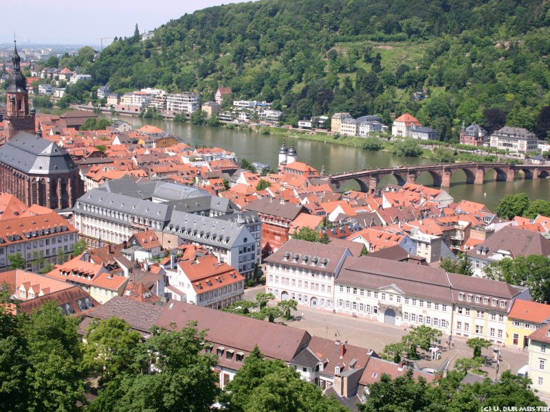 Heidelberg Blick   ber die Stadt 4
