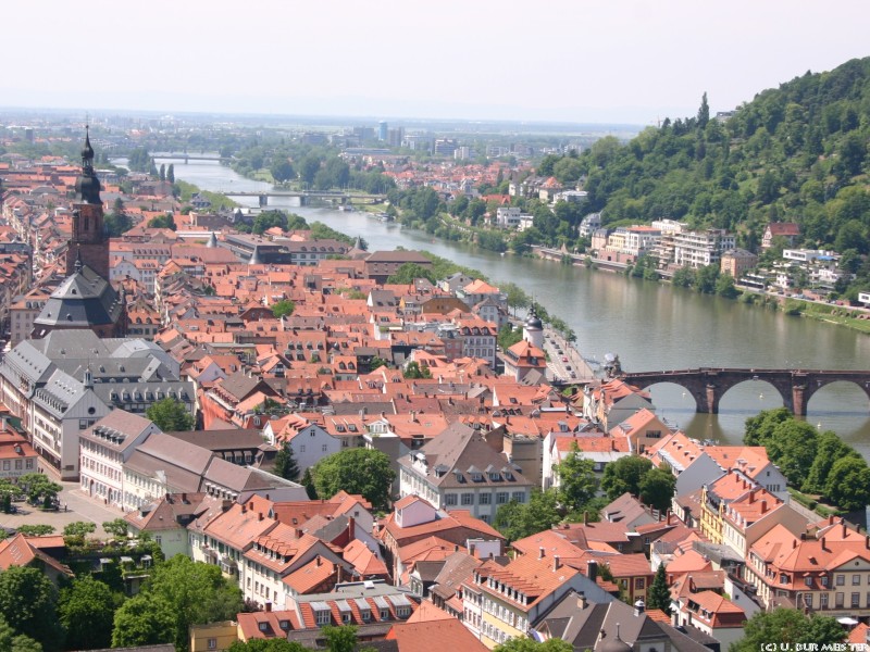 Heidelberg Blick   ber die Stadt 5