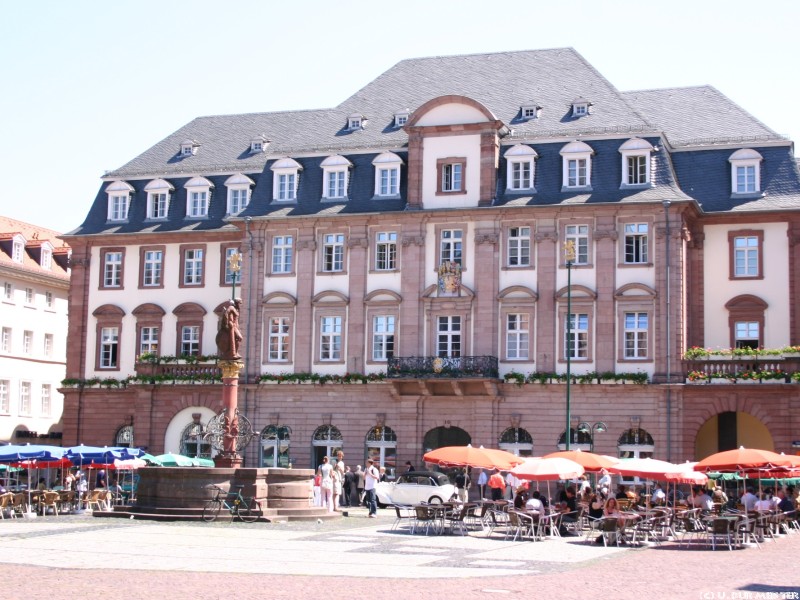 Heidelberg Rathaus mit Marktplatz