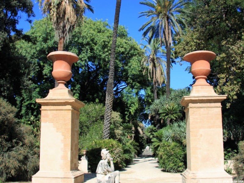 65 Palermo Botanischer Garten