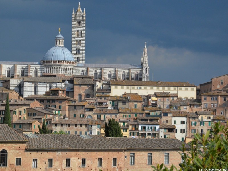 Siena  Blick auf die Stadt  1280x854 